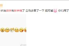 吃瓜网怎么登录微信,一键体验便捷社交新方式