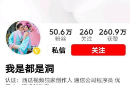 吃瓜网红八卦视频下载,吃瓜视频背后的下载风云