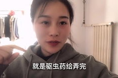 网红吃瓜视频推荐一下,揭秘娱乐圈幕后真相